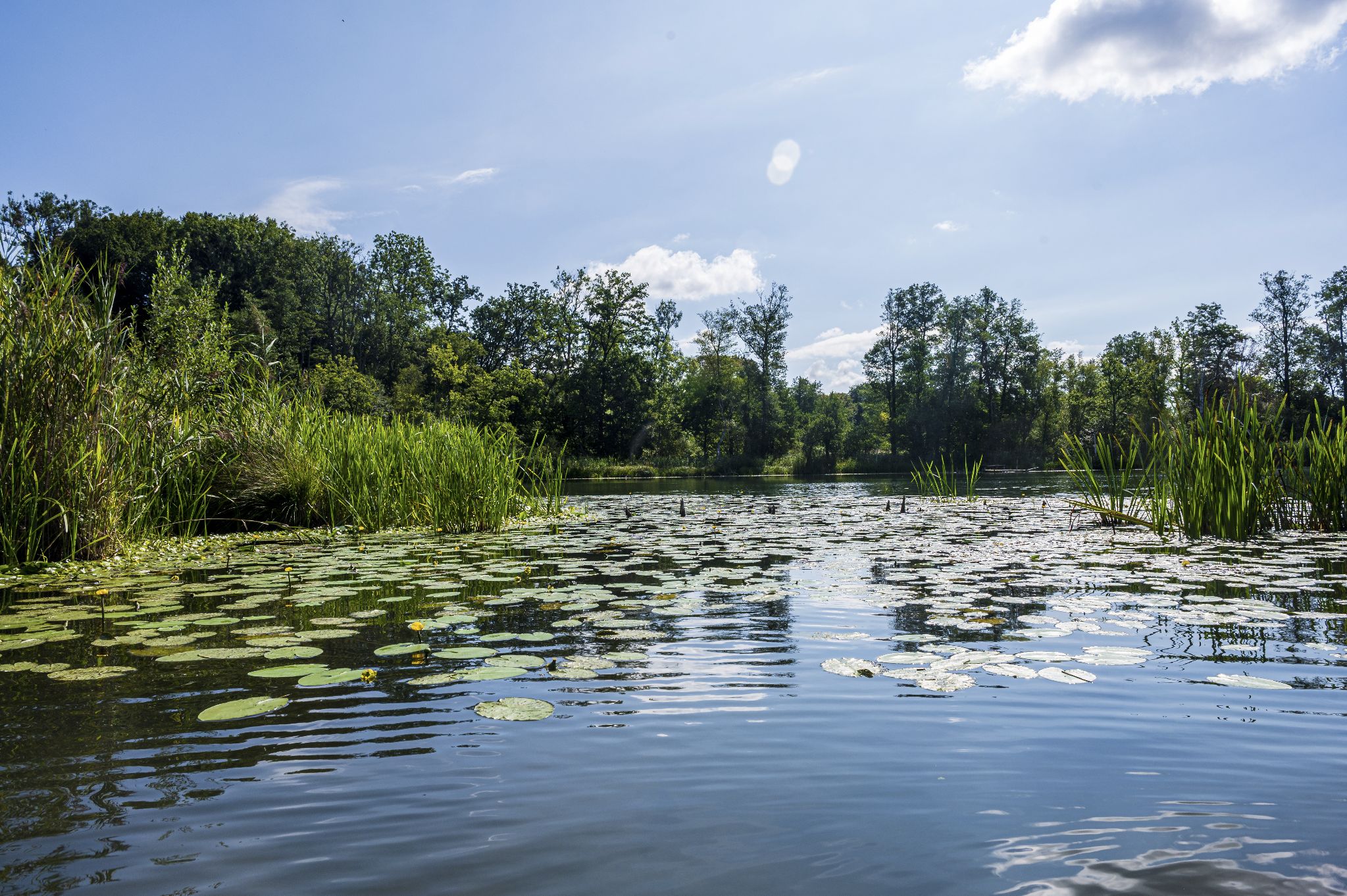 Kajaktour Leutstettner Moos 21.08.2022